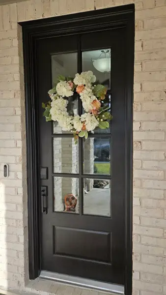 Door Refinishing Services in Humble
